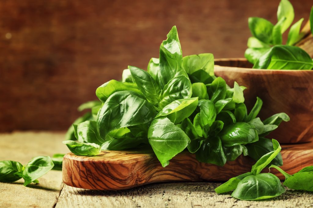 basilico fresco pesto alla genovese