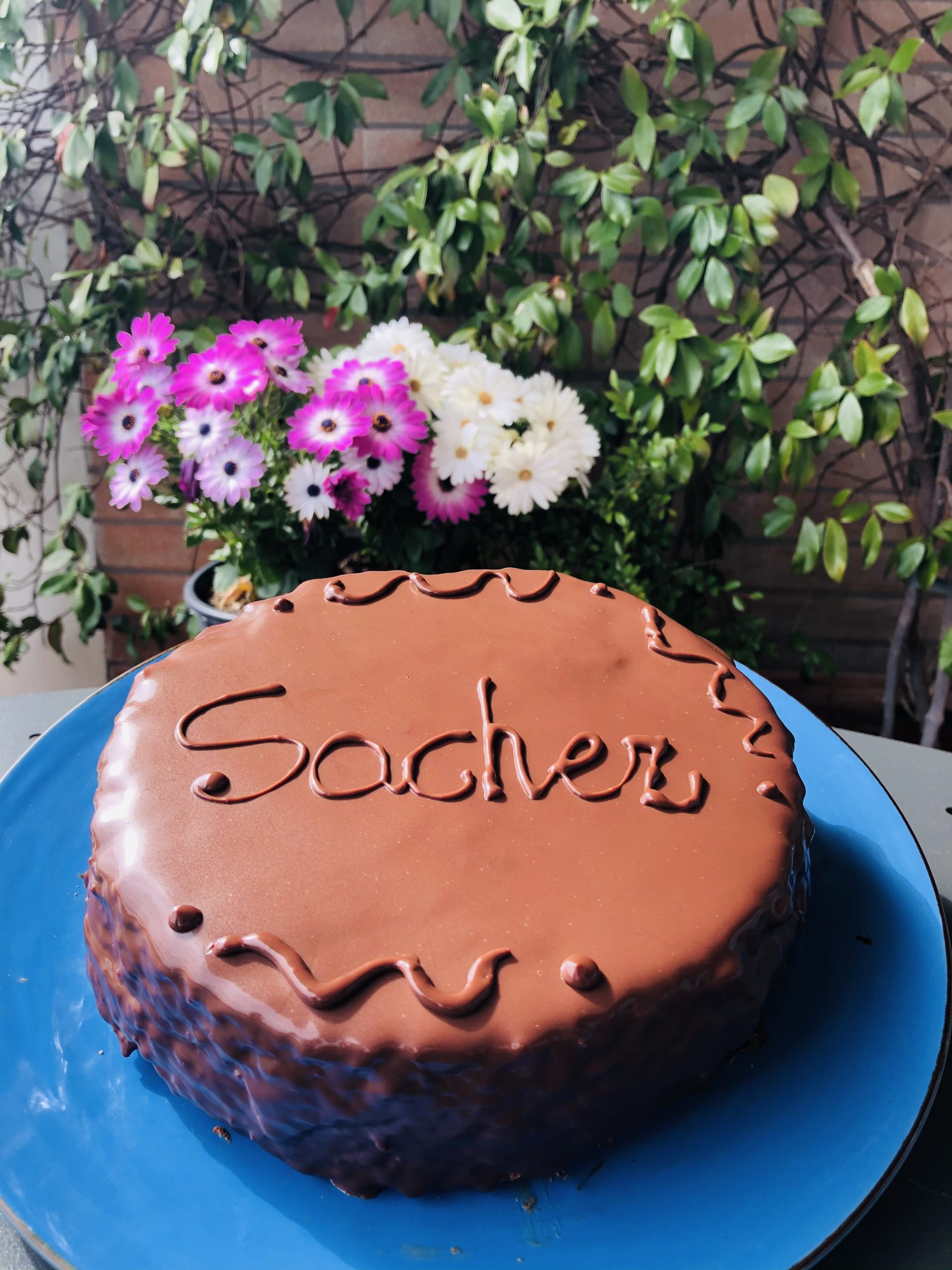 Sacher torta